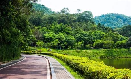 襄城縣王洛鎮(zhèn)肖莊閆村道路加寬及彩磚建設(shè)項目造價咨詢